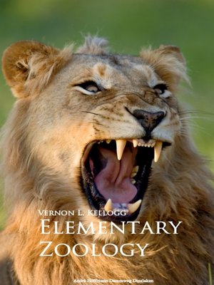 cover image of Elementary Zoology